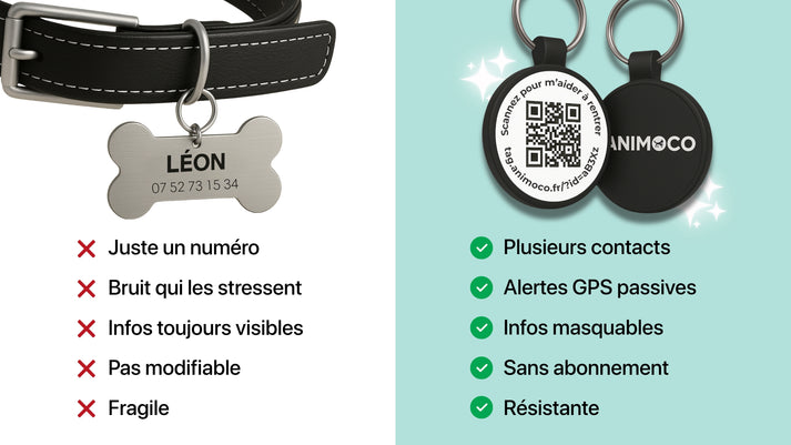 Comparaison médaille chien gravée et médaille QR code
