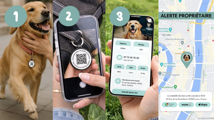 Scan médaille chien QR code smartphone