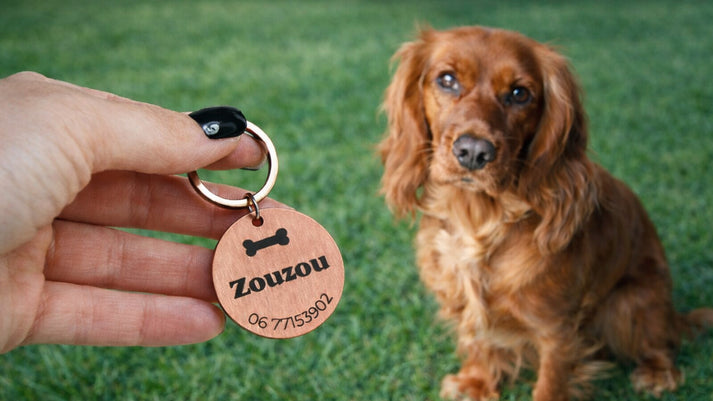 Médaille chien personnalisable sur collier gros plan